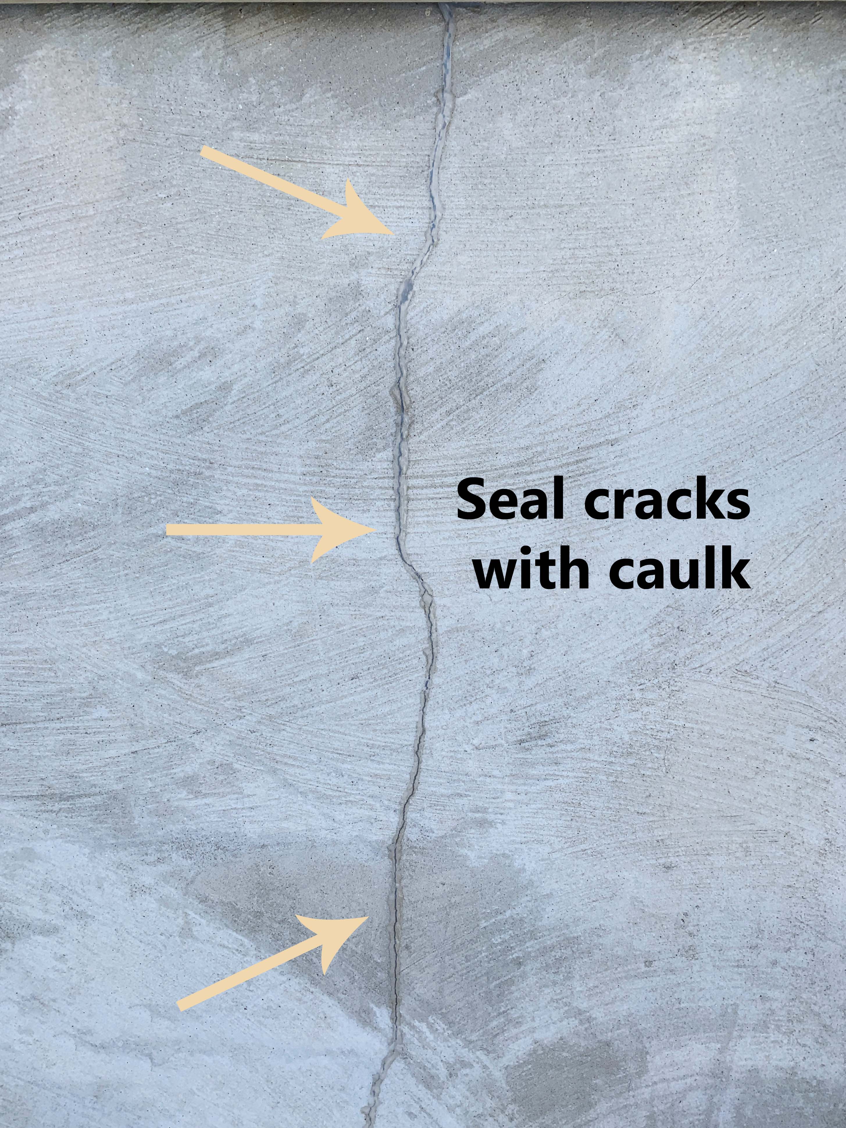 Cracking Insect how-to-keep-insects-rodents-and-other-pests-out-of-your-house-crack ...