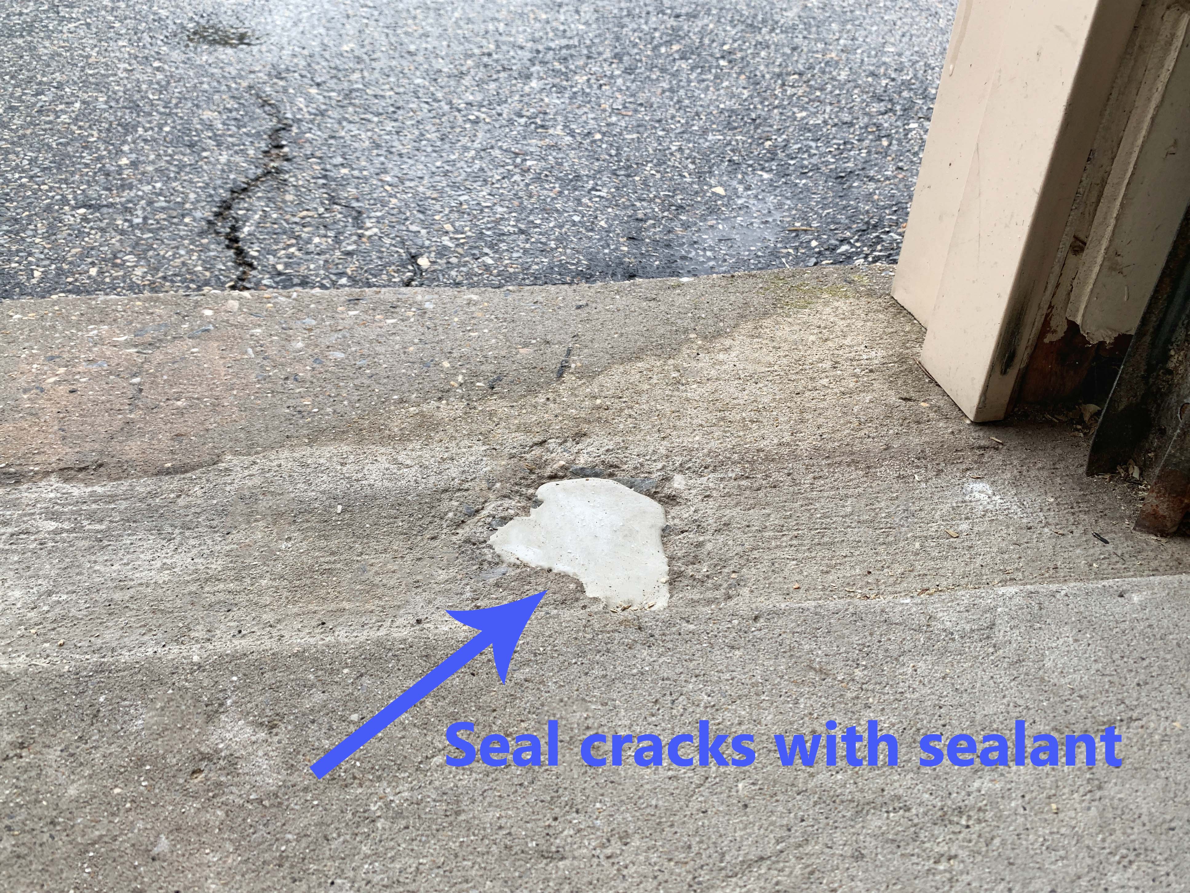 Cracking Insect how-to-keep-insects-rodents-and-other-pests-out-of-your-house-garage ...