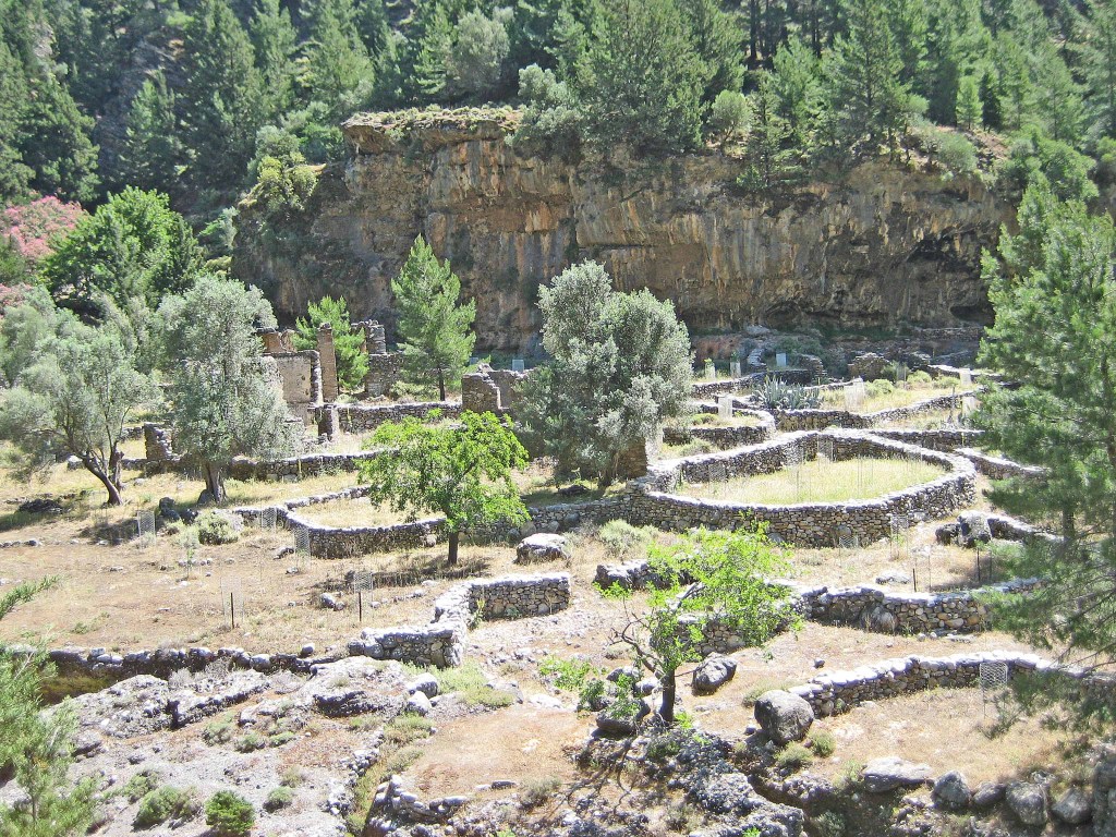 Stone ruins of a village surrounded by a green forest