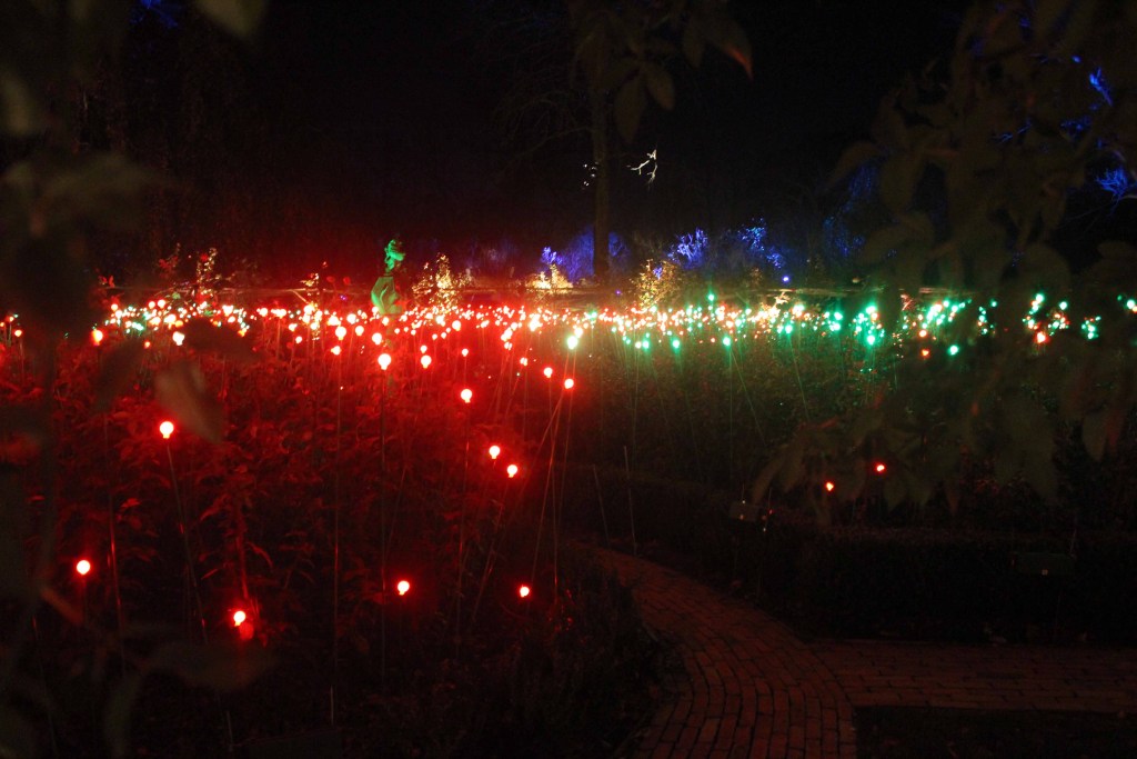 Red and green lightbulbs at night.