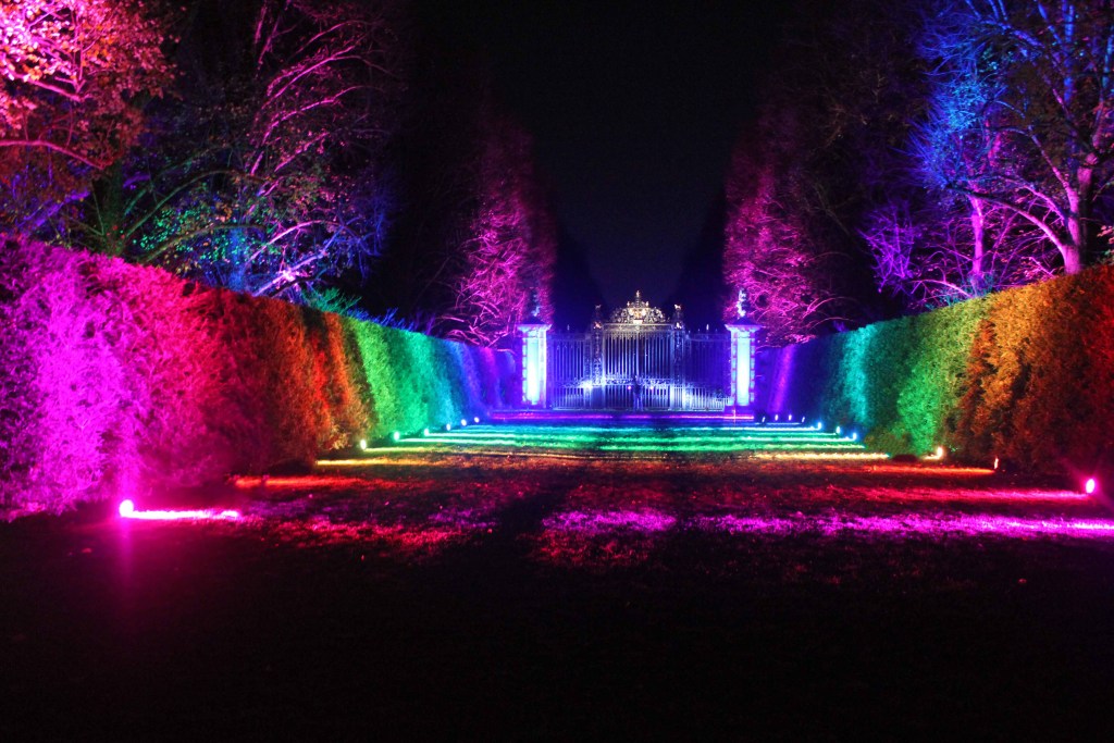 Hedges, trees, and a gate illuminated at night in rainbow colors.