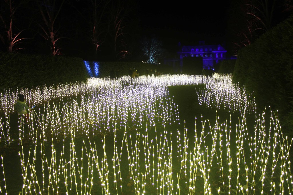 Strings of lights in an open meadow surrounded by hedges at night